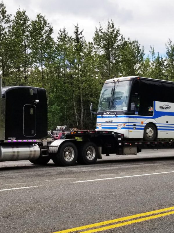 Steelhead Transport hauling bus (1)